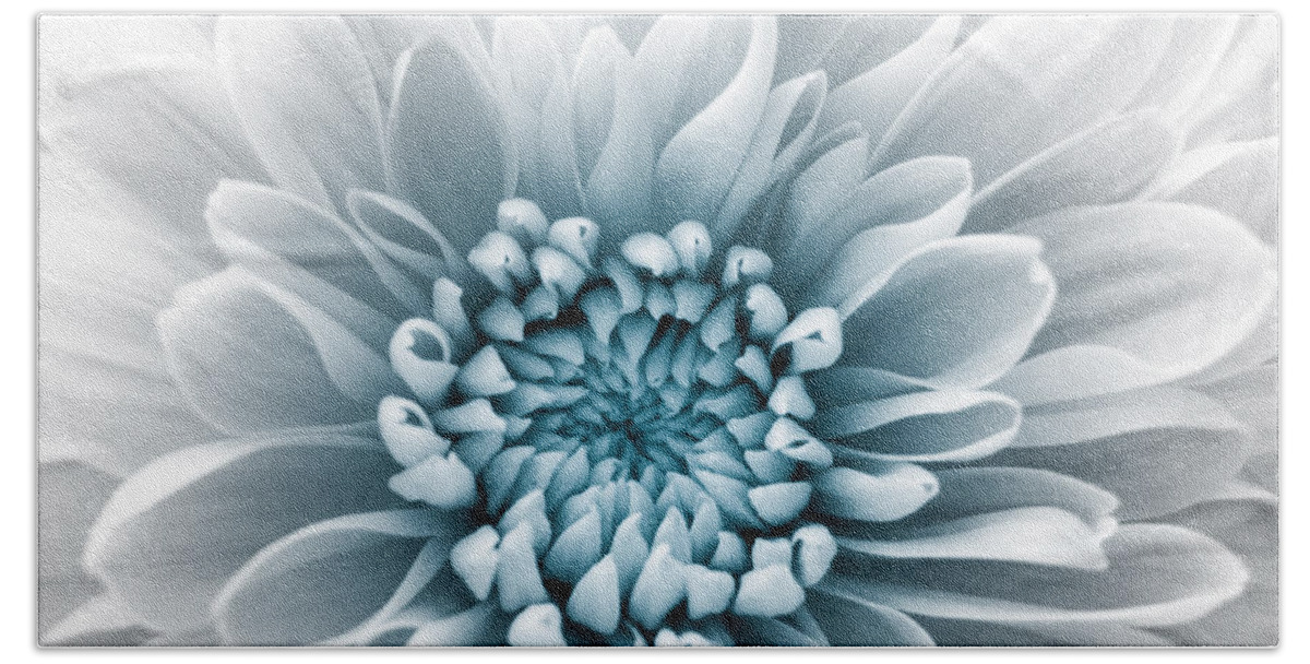 Blue Flower Beach Towel featuring the photograph Blue Flower #3 by Dawn OConnor