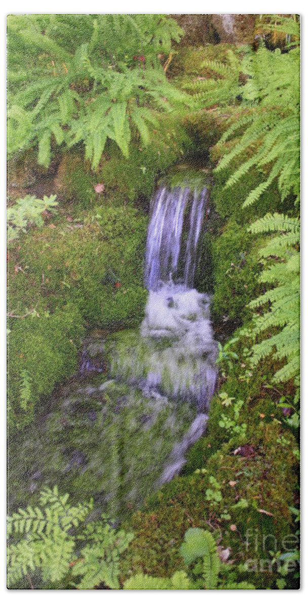 Waterfall Beach Towel featuring the photograph Mossy Waterfall #3 by Carol Groenen