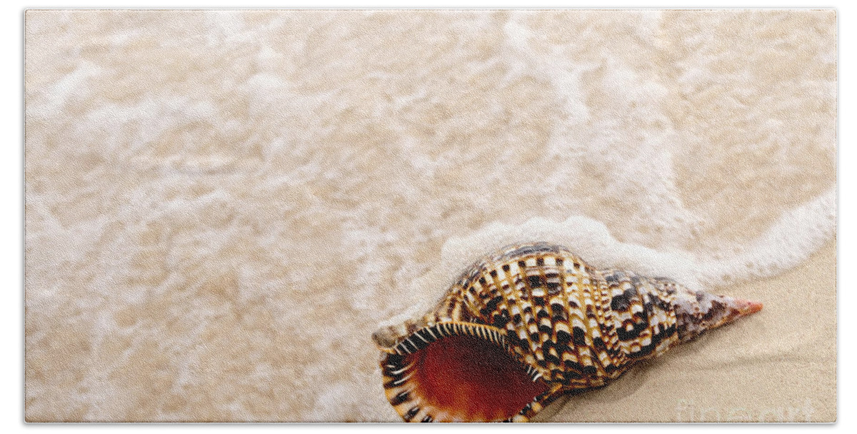 Seashell Beach Sheet featuring the photograph Seashell and ocean wave 1 by Elena Elisseeva
