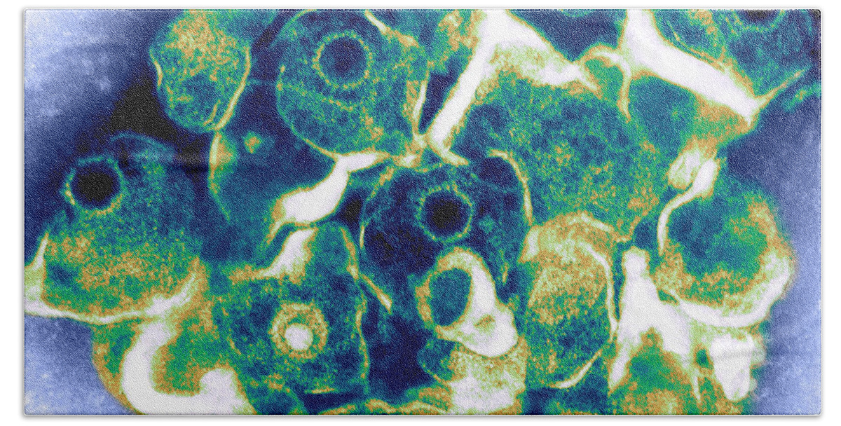 Electron Micrograph Beach Towel featuring the photograph Herpes Simplex Virus Tem #4 by ASM/Science Source