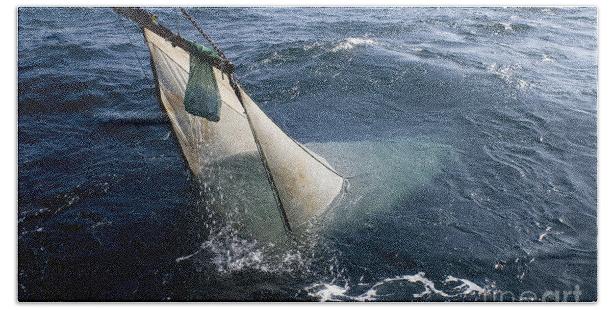 Mesopelagic Sampling Beach Towel featuring the photograph Trawling For Marine Life #4 by Dante Fenolio