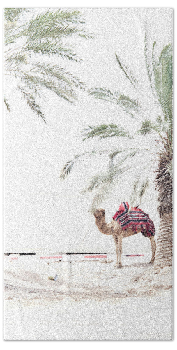 Endre Beach Towel featuring the photograph A Hot Day In The Negev Desert by Endre Balogh