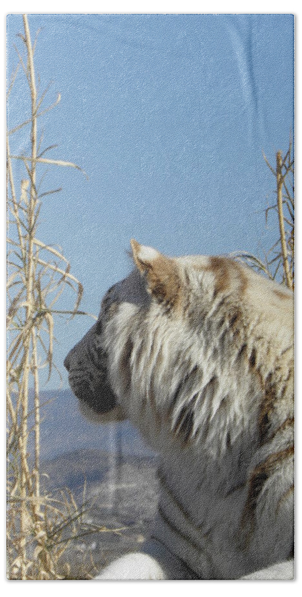 White Beach Towel featuring the photograph A look out by Kim Galluzzo