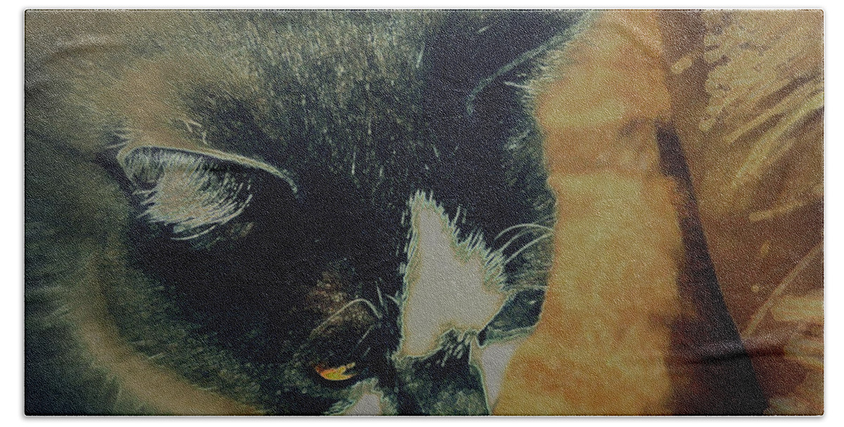 Grey White Cat Beach Towel featuring the photograph A Satin Doll by Diane montana Jansson