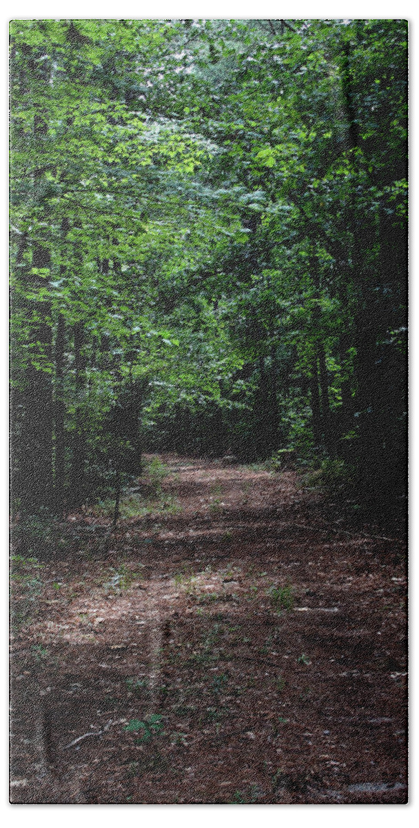 Forest Beach Sheet featuring the photograph A Walk in the Park by Karen Harrison Brown