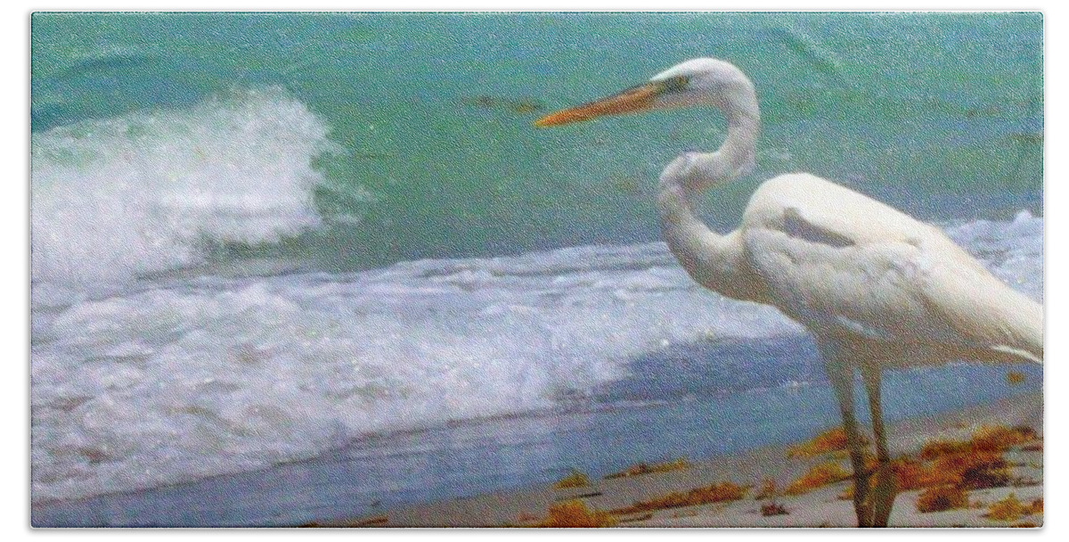 Beach Beach Towel featuring the photograph Absorbed In Long Boat Key by Megan Ford-Miller