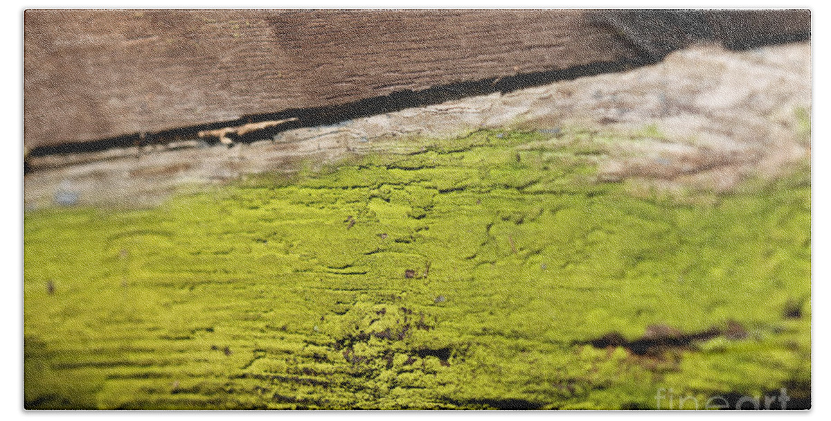 Abstract Beach Sheet featuring the photograph Abstract With Green by Todd Blanchard