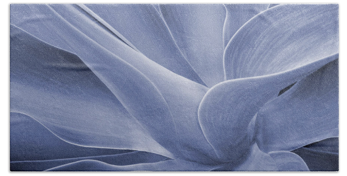Agave Beach Sheet featuring the photograph Agave in Blue by Bel Menpes