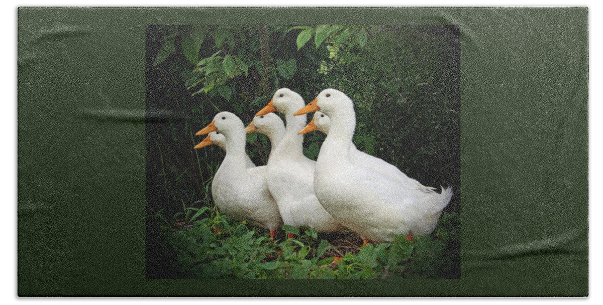 Ducks Beach Sheet featuring the photograph All My Ducks in a Row by Rebecca Samler