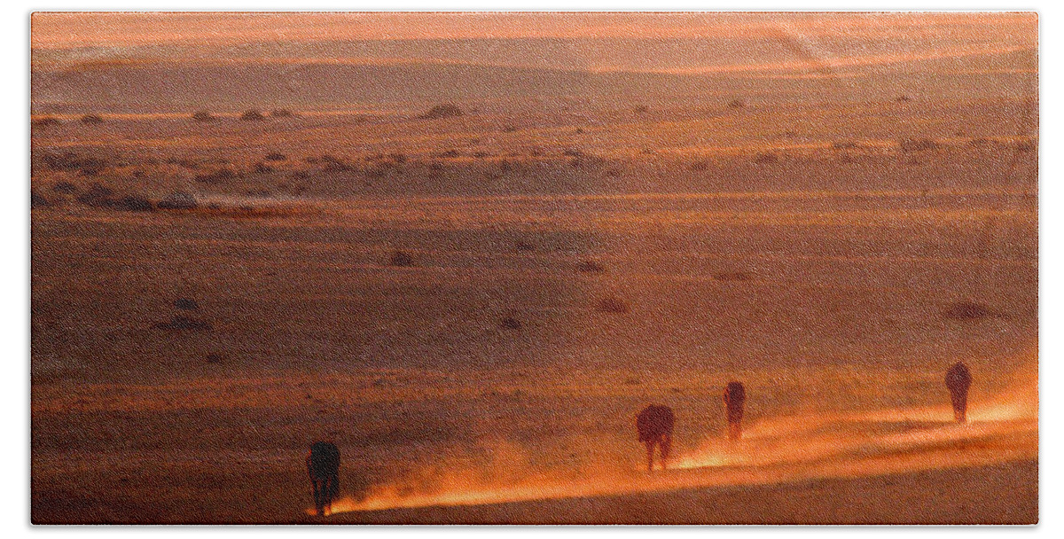  Beach Sheet featuring the photograph Almost there by Alistair Lyne