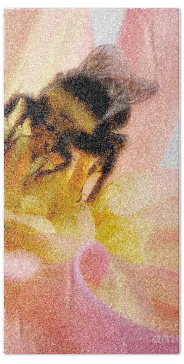 Bee Beach Towel featuring the photograph Ambrosia by Rory Siegel