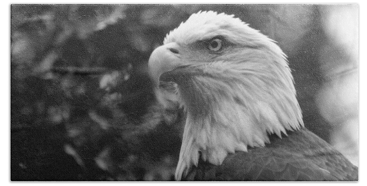 Zoo Beach Towel featuring the photograph American Bald Eagle by David Rucker