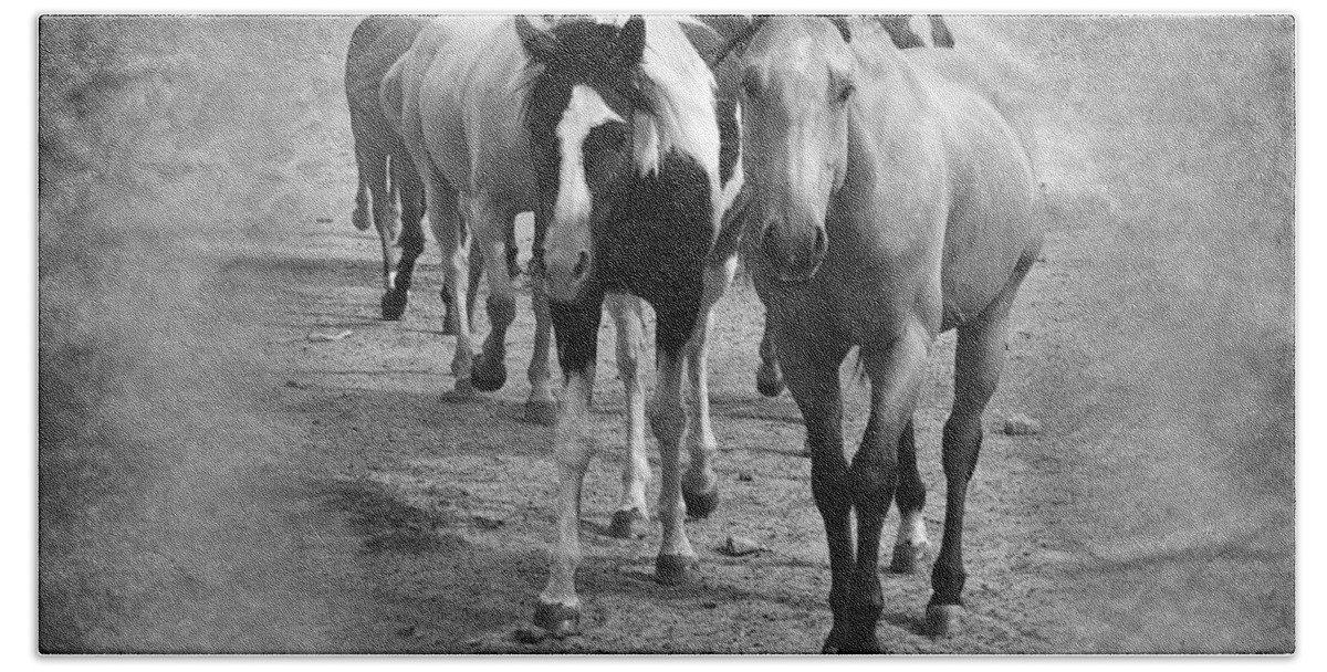American Quarter Horse Beach Towel featuring the photograph American Quarter Horse Herd in Black and White by Betty LaRue