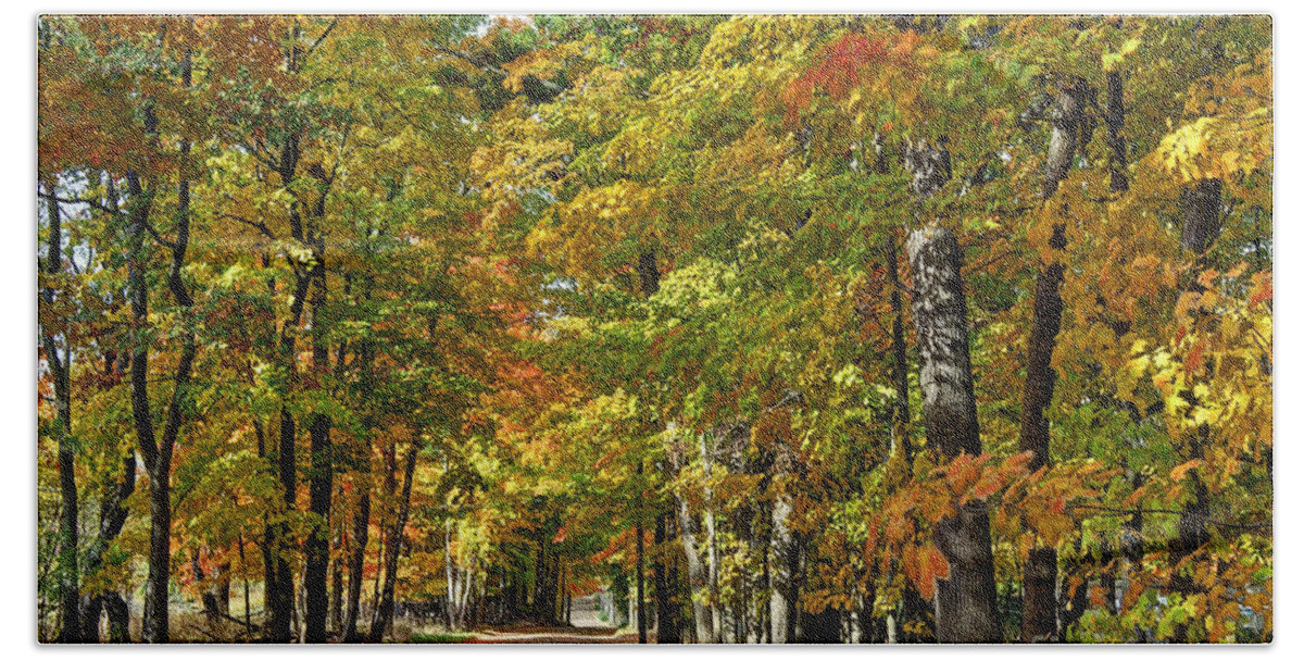 Autumn Beach Towel featuring the photograph Autumn Colors by Rodney Campbell