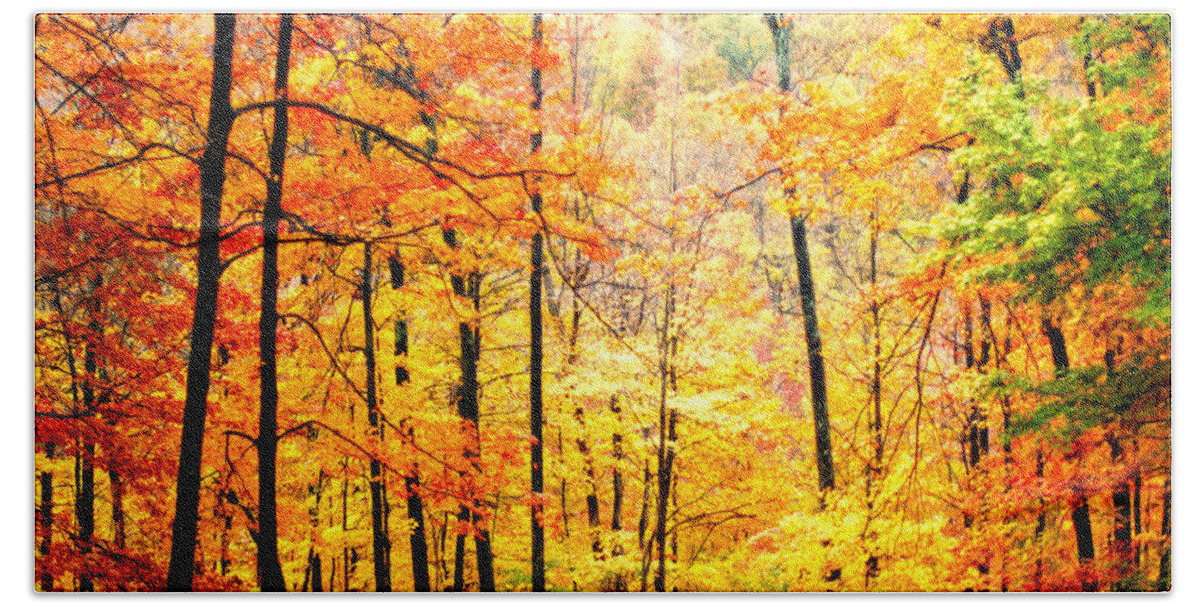 Autumn Beach Sheet featuring the photograph Autumn Forest by Randall Branham