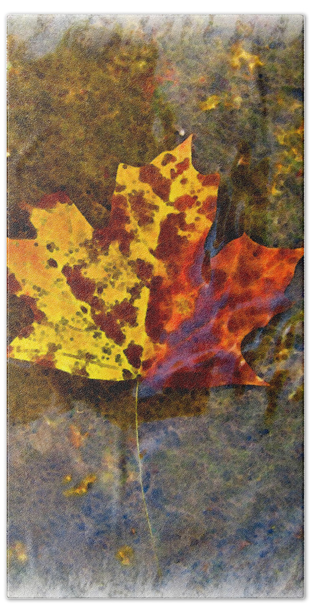 Botanical Beach Towel featuring the digital art Autumn Maple Leaf in water by Debbie Portwood