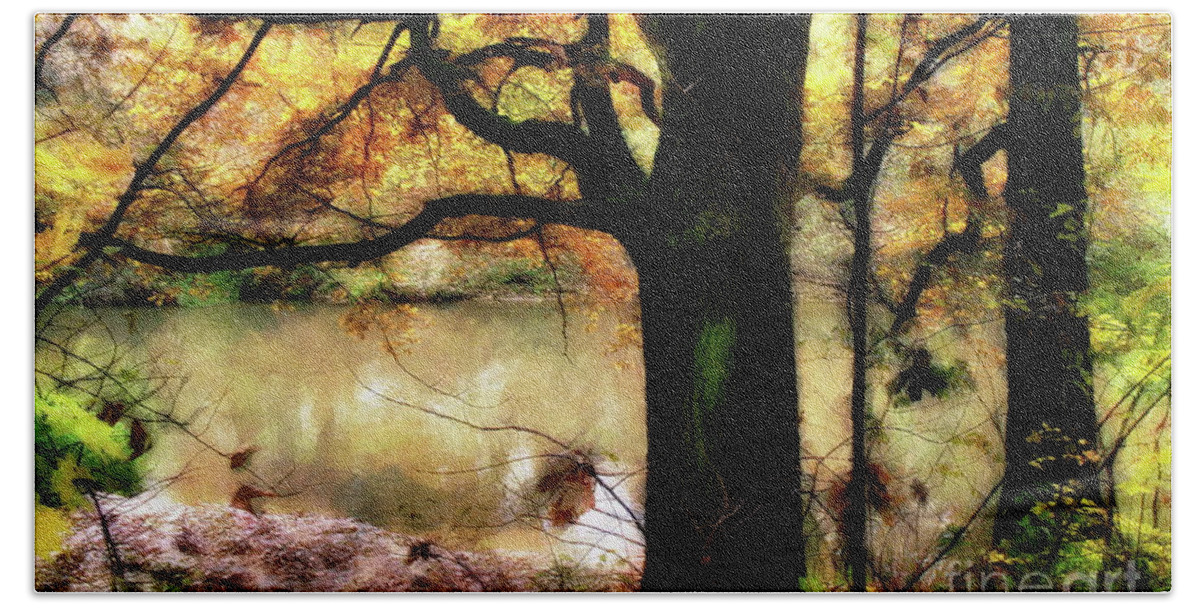 Autumn Beach Towel featuring the photograph Autumn Oak Tree by Dariusz Gudowicz