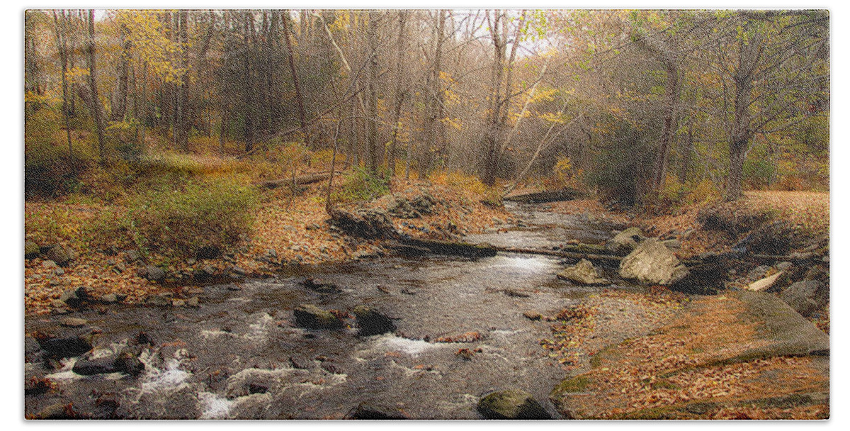 Stream Beach Towel featuring the photograph Babbling Brook in Autumn by Cathy Kovarik