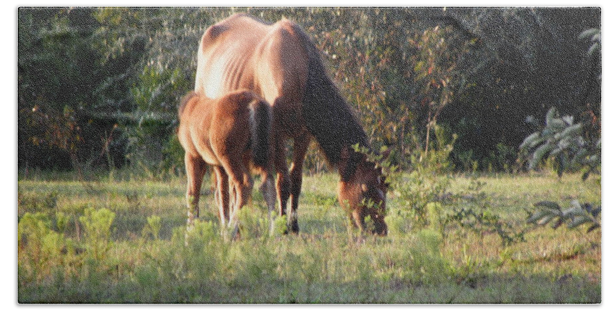 Mustangs Beach Towel featuring the photograph Baby Feeding From Mom While She Grazes In The Grass by Kim Galluzzo