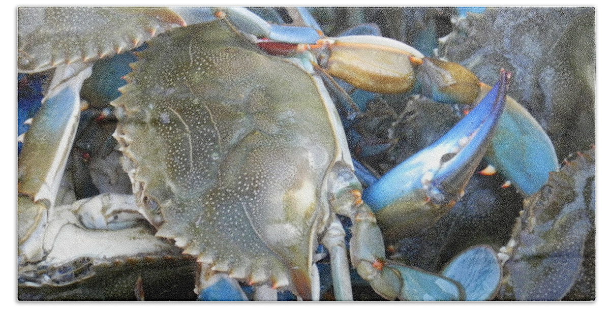 Crabs Beach Sheet featuring the photograph Beaufort Blue Crabs by Patricia Greer