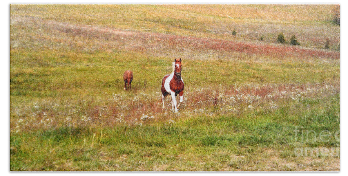 Active Beach Sheet featuring the photograph Beautiful and Proud Horse by Peggy Franz