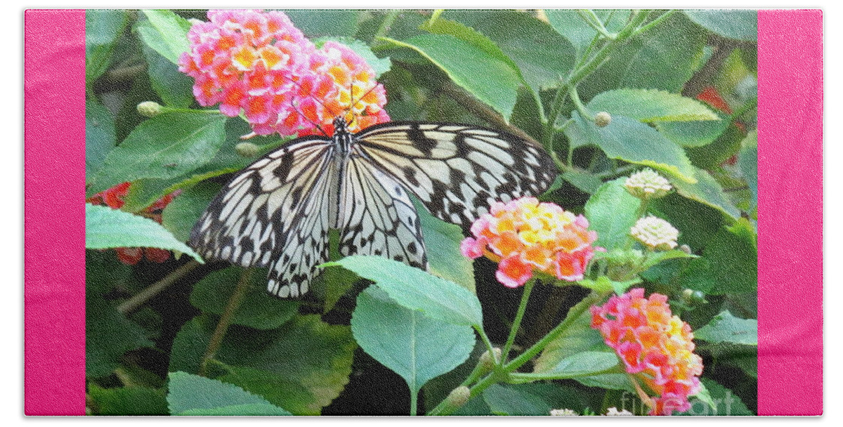 Butterfly Beach Towel featuring the photograph Beautiful Butterfly and Flowers by Phyllis Kaltenbach