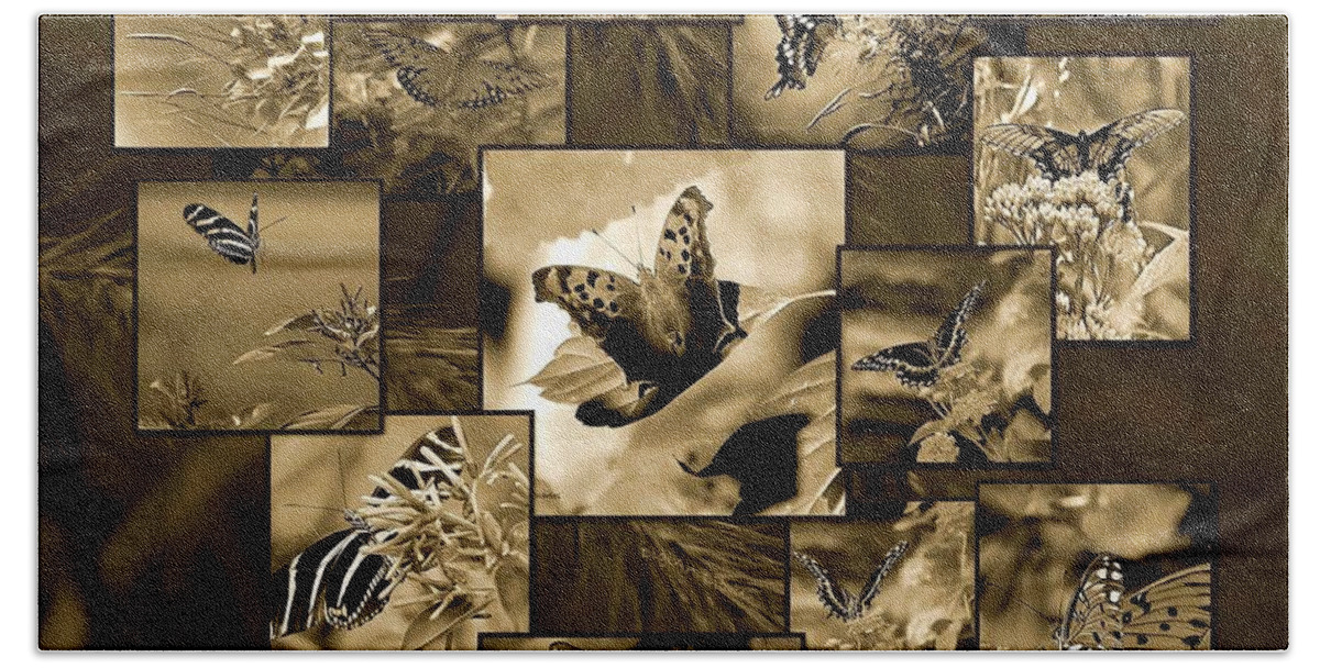 Butterfly Beach Towel featuring the photograph Beauty in Butterflies II by DigiArt Diaries by Vicky B Fuller