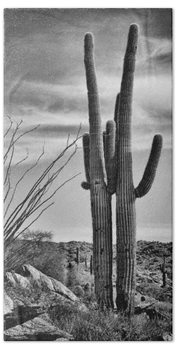 Saguaros Beach Towel featuring the photograph Black and White Couple by Kelley King