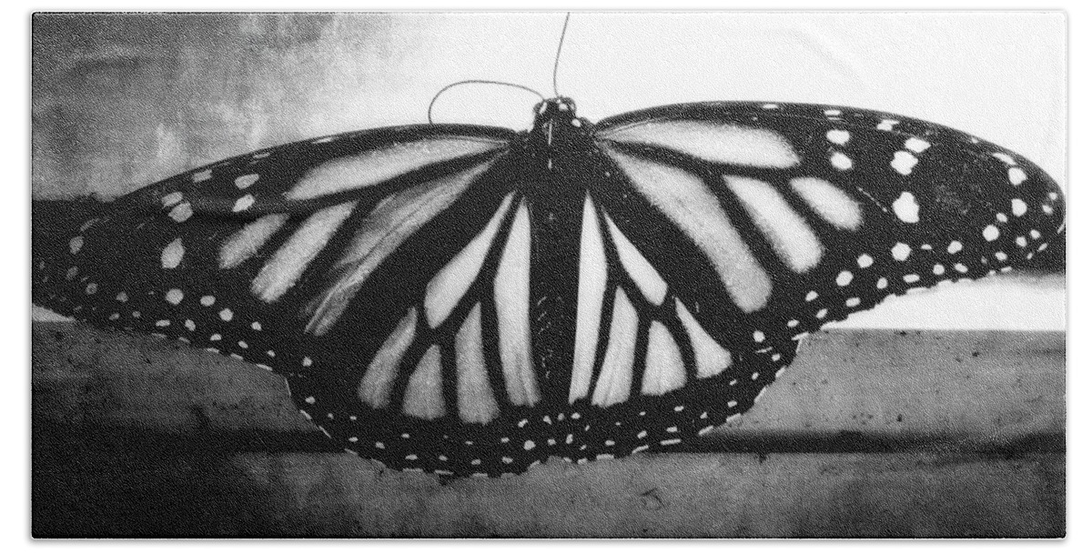 Black And White Beach Towel featuring the photograph Black Butterfly by Julia Wilcox