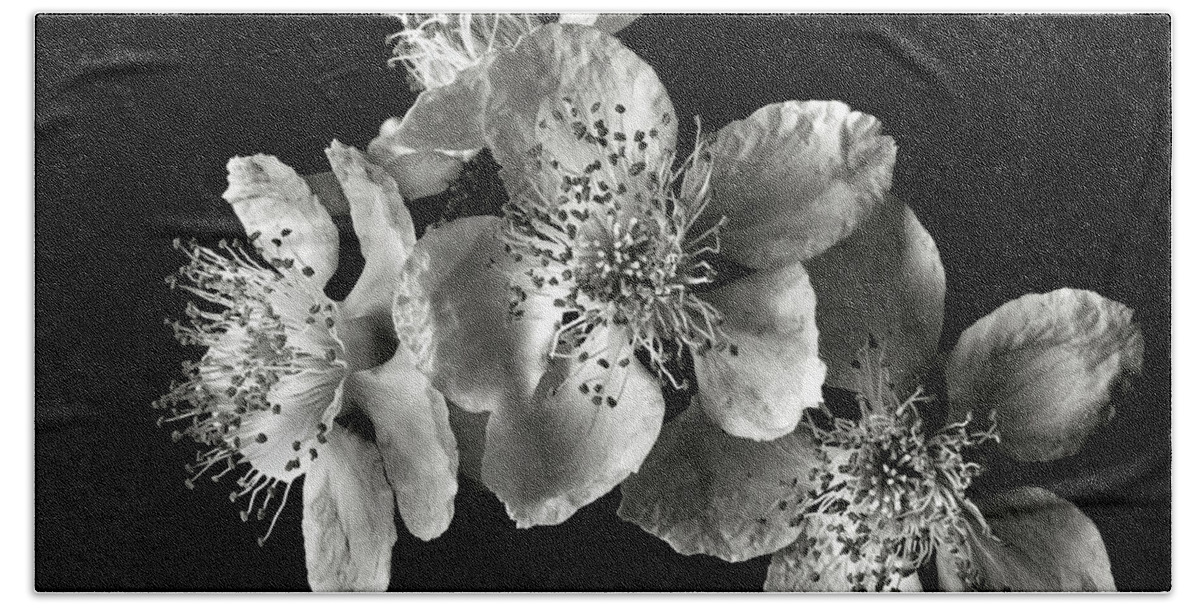 Flower Beach Towel featuring the photograph Blackberry Flowers in Black and White by Endre Balogh