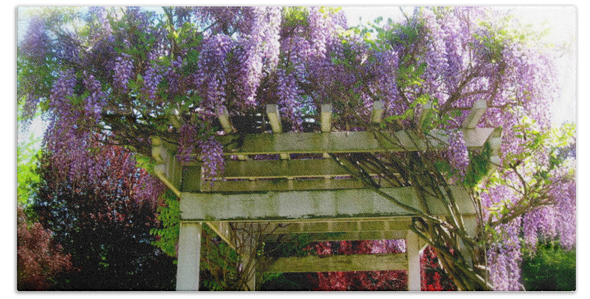 Wisteria Beach Towel featuring the photograph Blooming Wisteria by Nancy Patterson