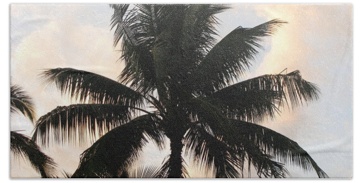 Palm Tree Beach Towel featuring the photograph Blowing in the Wind by Anthony Trillo