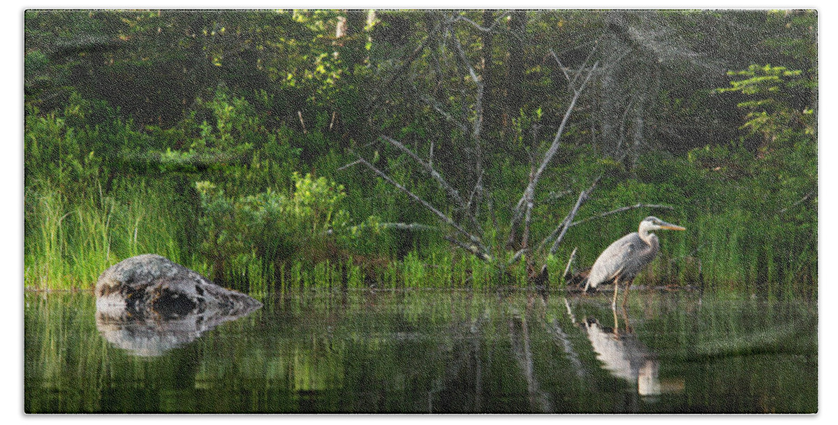 White Mountain Beach Towel featuring the photograph Blue Heron Long Pond WMNF by Benjamin Dahl