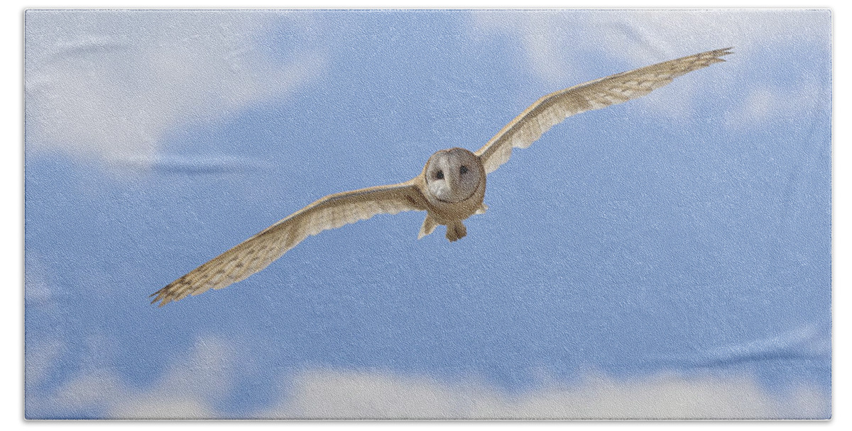 Landscape Beach Towel featuring the photograph Blue sky barn owl by John T Humphrey