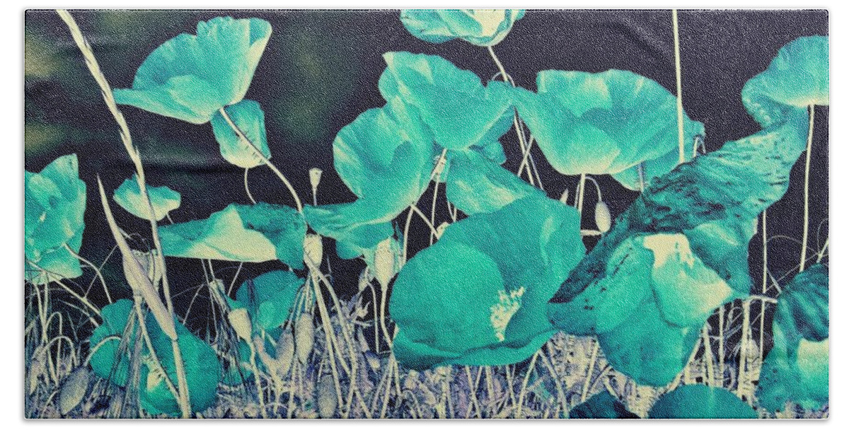 Poppies Beach Towel featuring the photograph Blue Vision by Marianna Mills