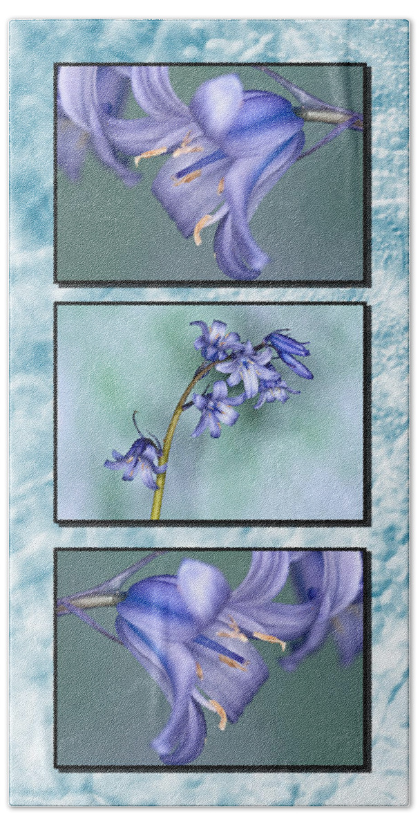 Bluebells Triptych Beach Sheet featuring the photograph Bluebell Triptych by Steve Purnell
