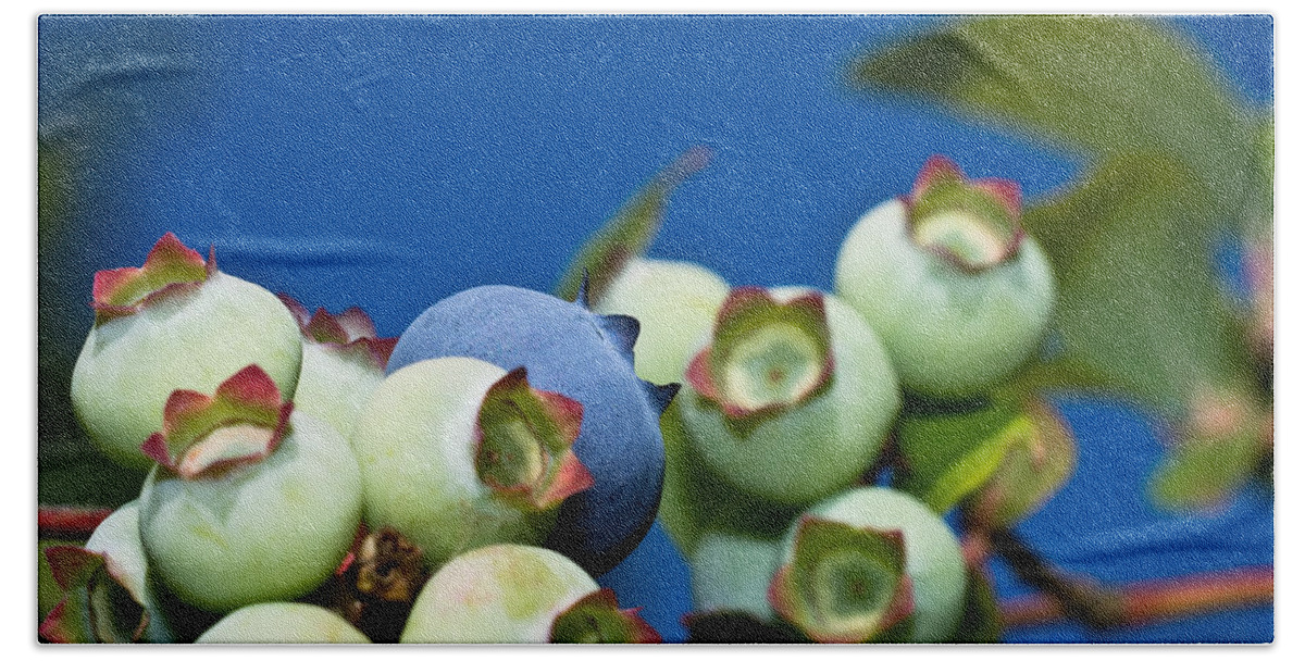 Macro Beach Towel featuring the photograph Blueberries and Sky by Lori Coleman