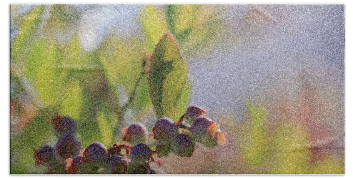 Abstract Beach Towel featuring the photograph Blueberries And Sunlight by Heidi Smith