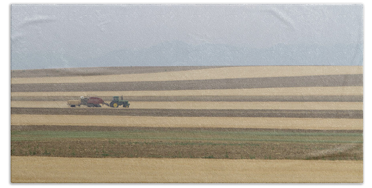 View Beach Towel featuring the photograph Boulder County Colorado Open Space Country View by James BO Insogna