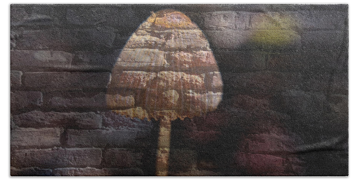 Fungus Beach Towel featuring the mixed media Brick Mushroom by Eric Liller