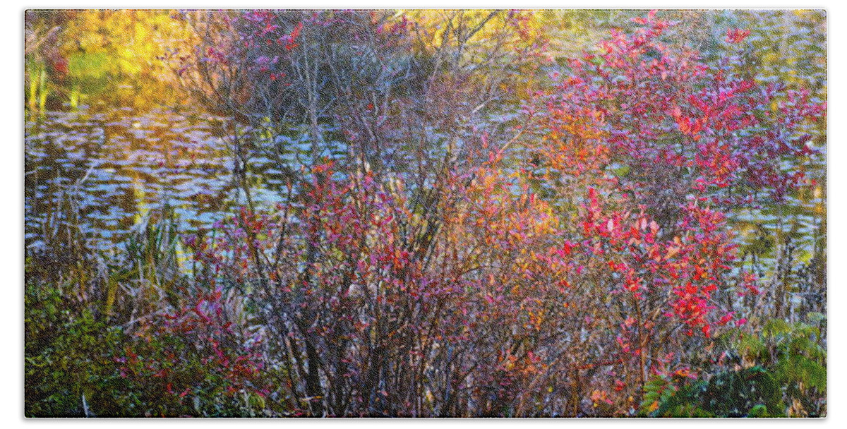 Landscape Beach Sheet featuring the photograph Bright Autumn Light by Byron Varvarigos
