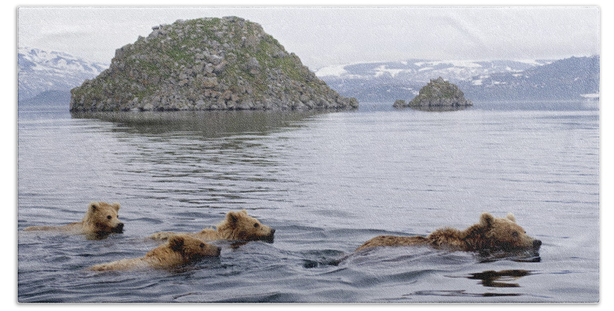 00782083 Beach Towel featuring the photograph Brown Bear And Cubs in Kamchatka by Sergey Gorshkov