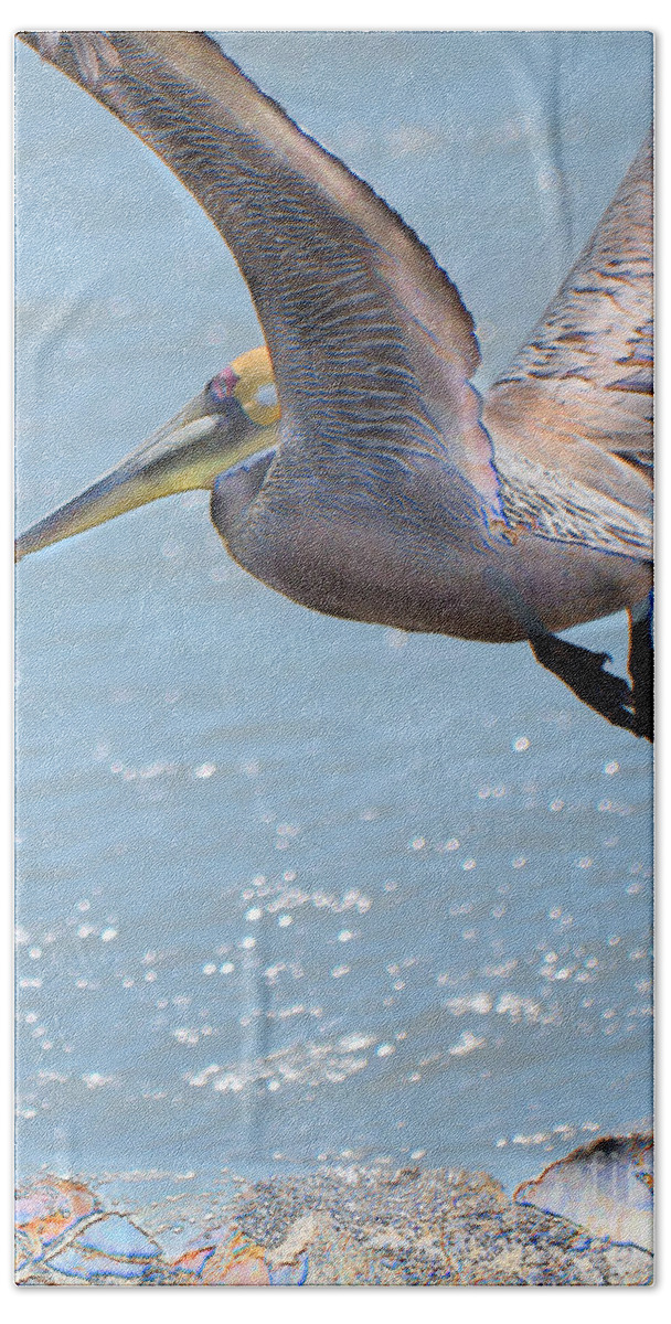 Brown Pelican Beach Towel featuring the photograph Brown Pelican by Betty LaRue