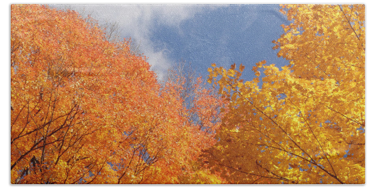 Leaves Beach Towel featuring the photograph Bursts Of Fall by Kim Galluzzo