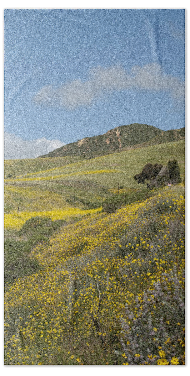 Hillside Beach Sheet featuring the photograph California Hillside View I by Kathleen Grace