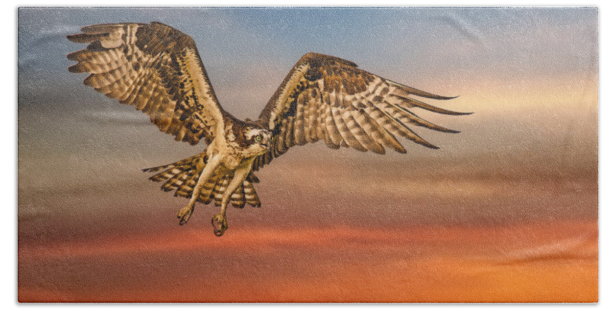 Osprey Beach Sheet featuring the photograph Calling it a Day by Susan Candelario