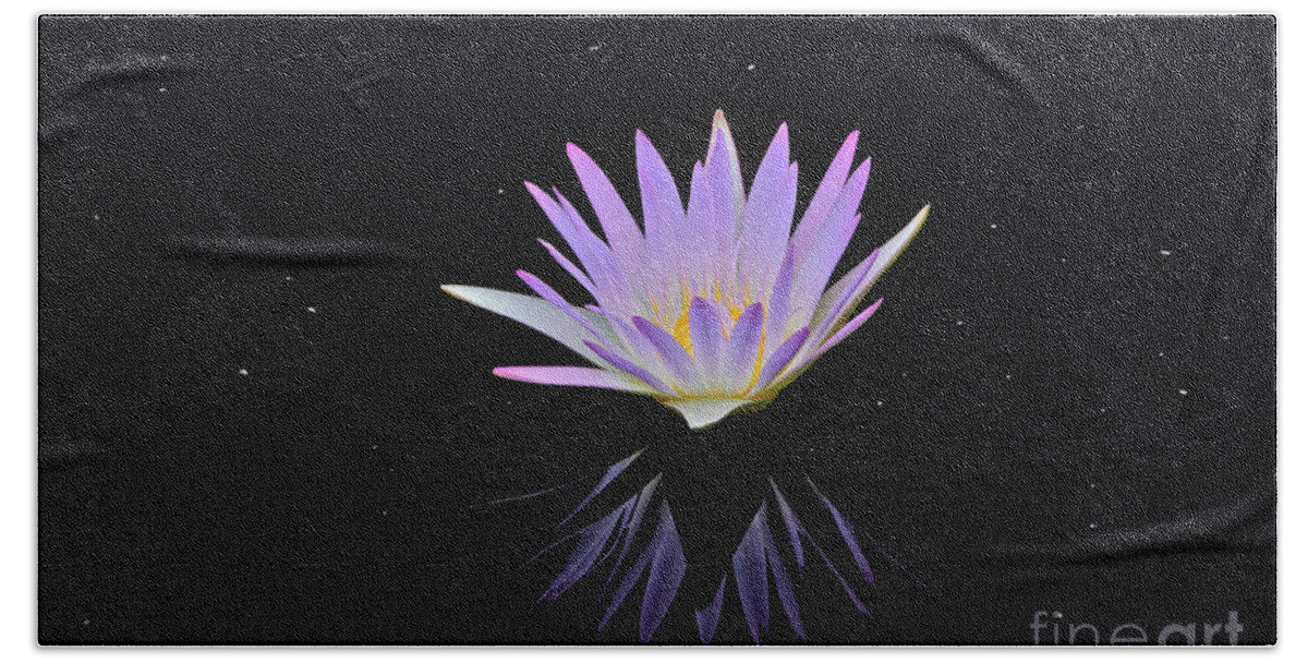 Lavender Tropical Waterlily Beach Towel featuring the photograph Celestial Waterlily by Byron Varvarigos