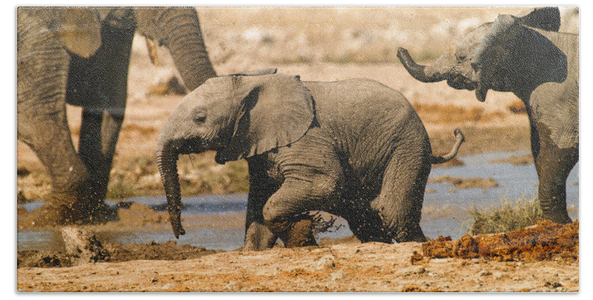 A Baby Elephants Play Beach Sheet featuring the photograph Chase you by Alistair Lyne