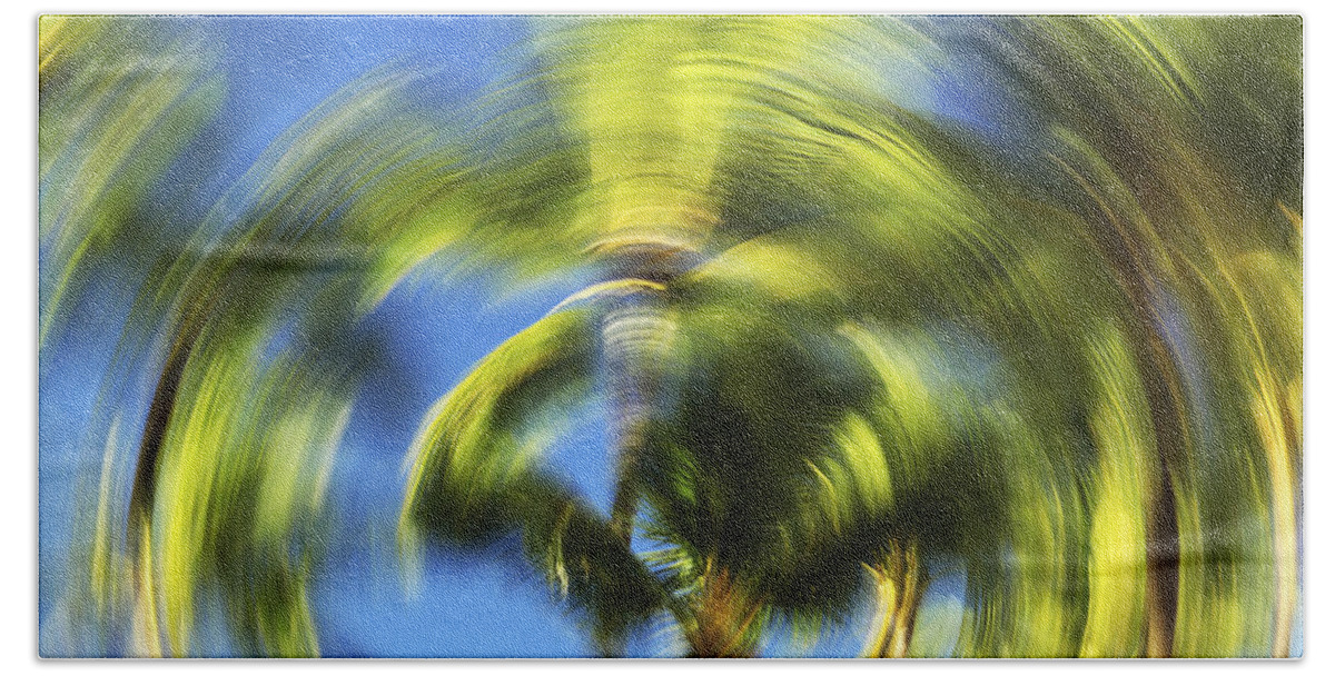 Abstract Beach Towel featuring the photograph Circular Palm Blur by Vince Cavataio - Printscapes