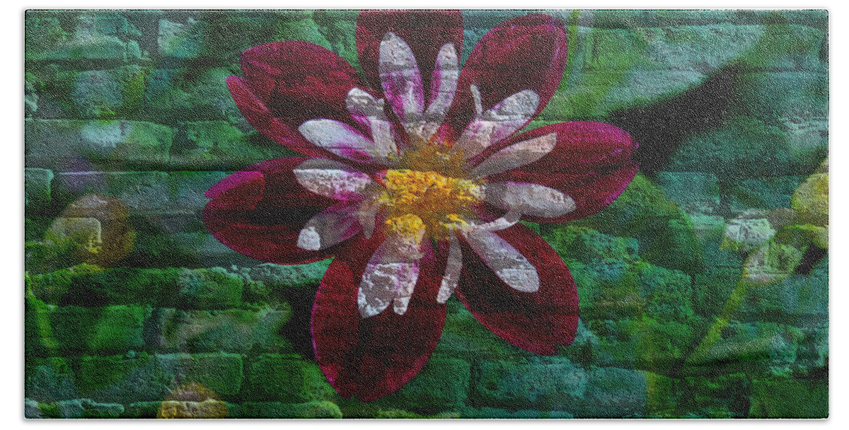 Flora Beach Towel featuring the mixed media Crazy flower over brick by Eric Liller